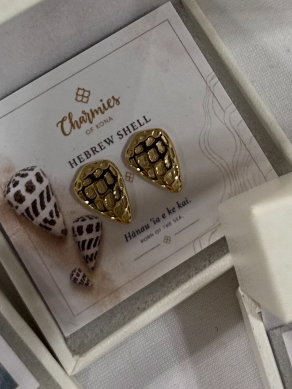 Gold Hebrew Shell Stud Earrings